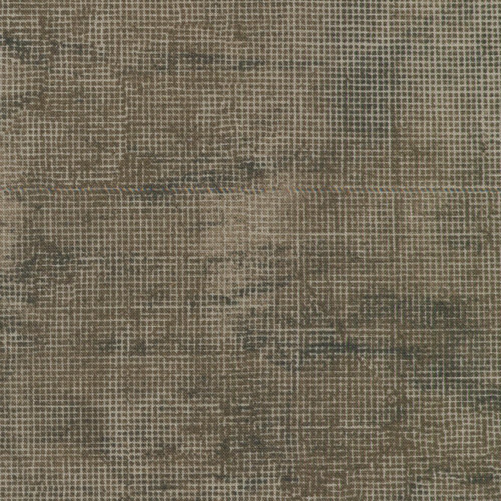 Chalk and Charcoal – Fossil – by Jennifer Sampou with Robert Kaufman