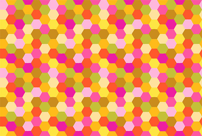 Piecework - Hexagons in Citrus - by Anna Maria Textiles
