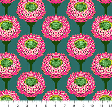 Iconic Fabric - Strawflower in Bursting - by Anna Maria Textiles