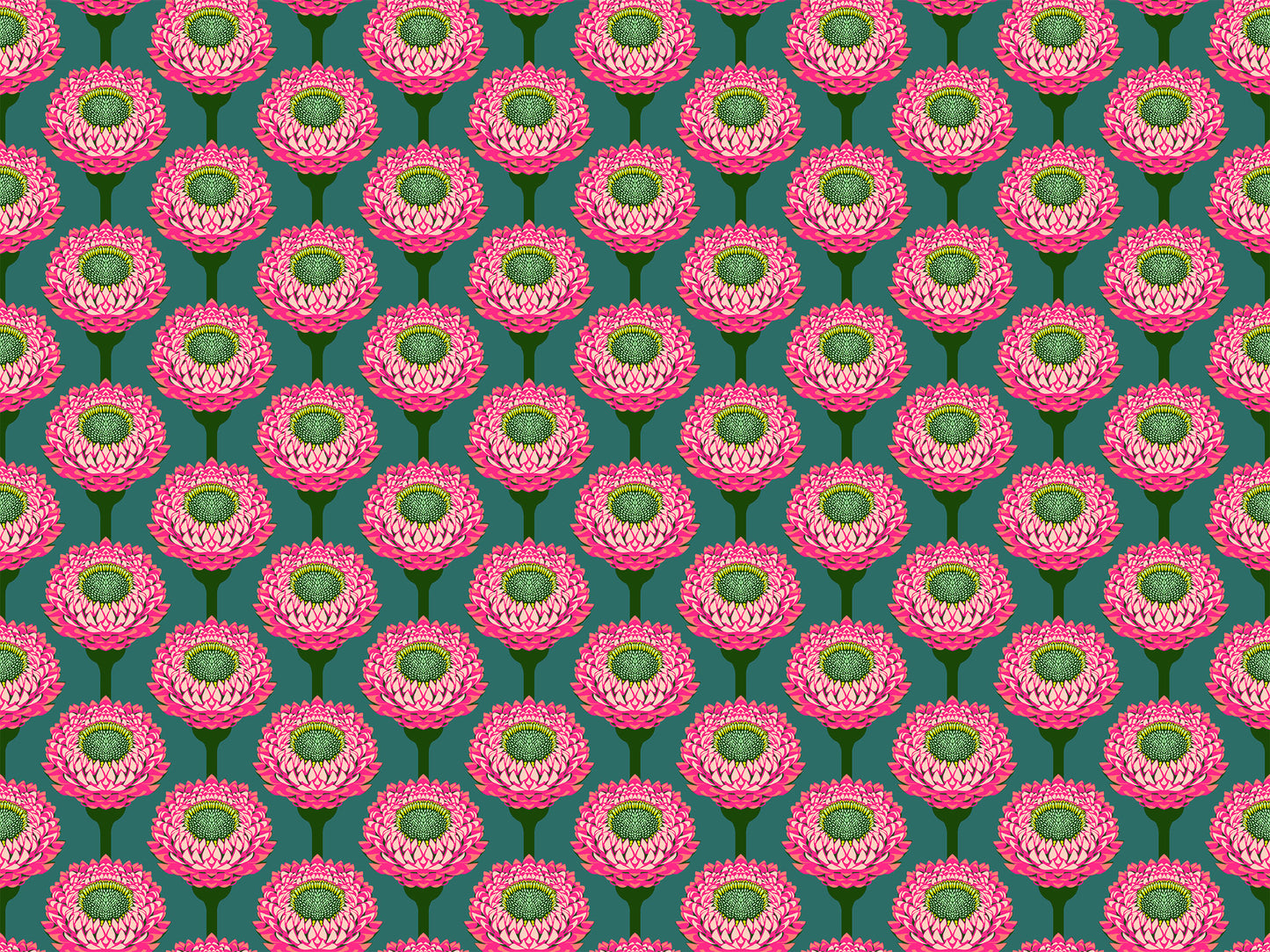 Iconic Fabric - Strawflower in Bursting - by Anna Maria Textiles
