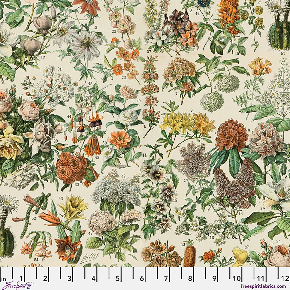 Palette Canvas Cloth - Orange Botanical - by Tim Holtz with FreeSpirit Fabrics