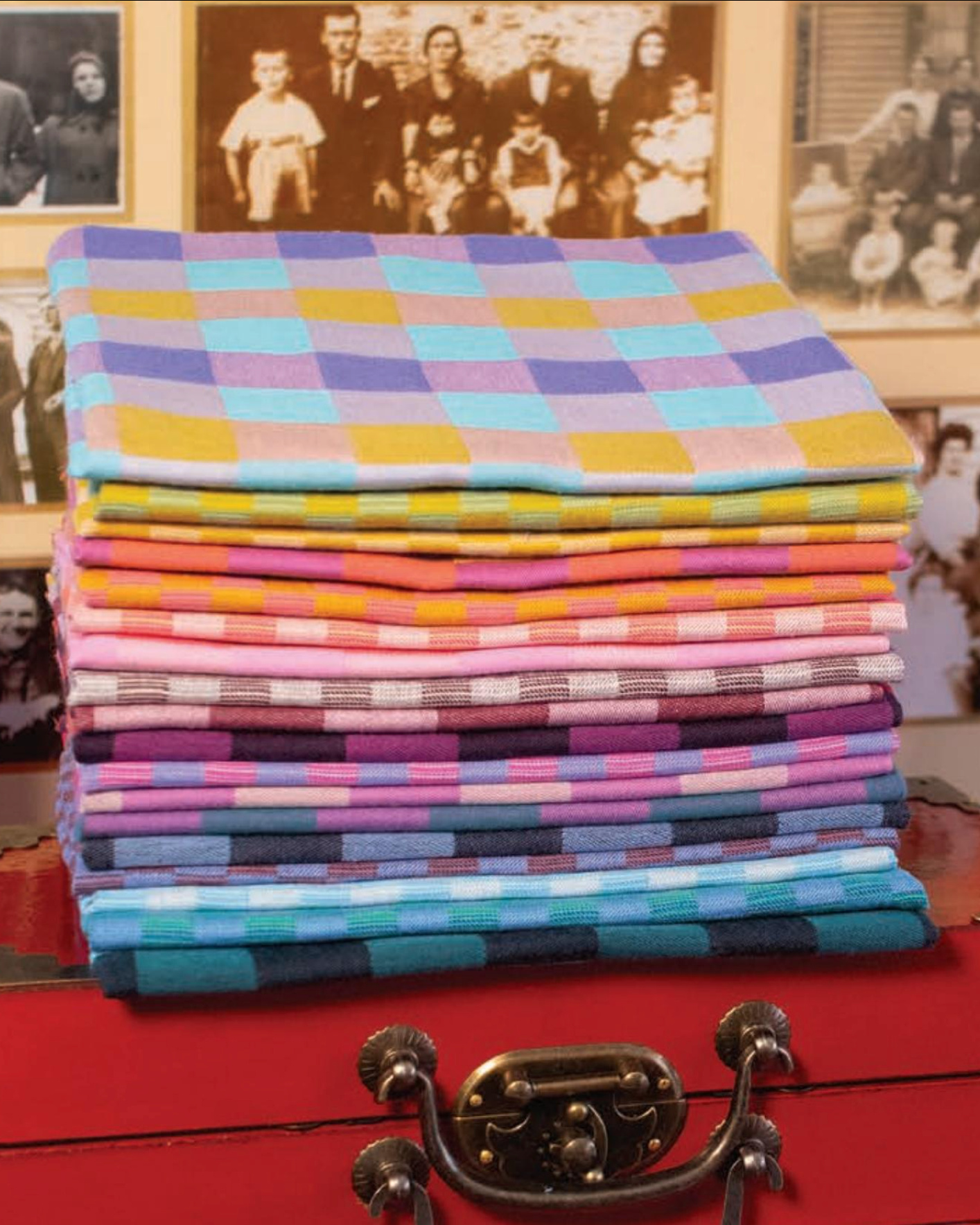 Check Mates Bundles by Anna Maria Textiles with Northcott Fabrics