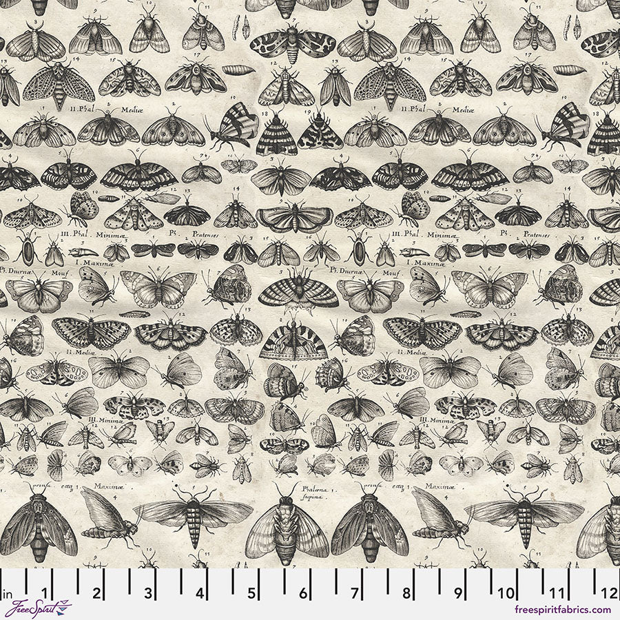 Eclectic Elements Palette Charcoal - Moths - by Tim Holtz with FreeSpirit Fabrics
