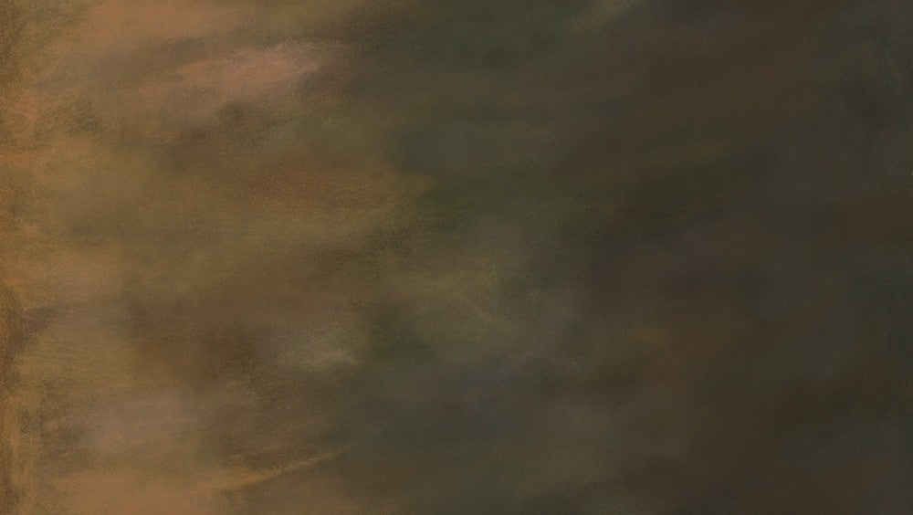 Sky Ombre Fabric - Bison (Half Yard Cut) by Jennifer Sampou with Robert Kaufman