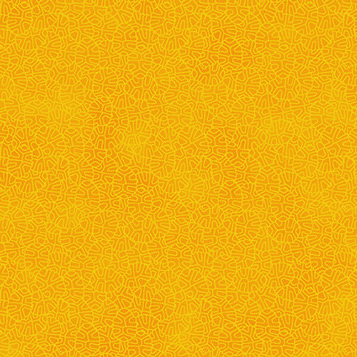 I’ve Got Hue, Babe - Sunny Side Up Precut Bundle