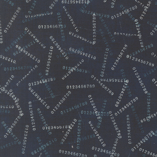 Data - Digits in Hawking - by Janet Clare with Moda Fabrics
