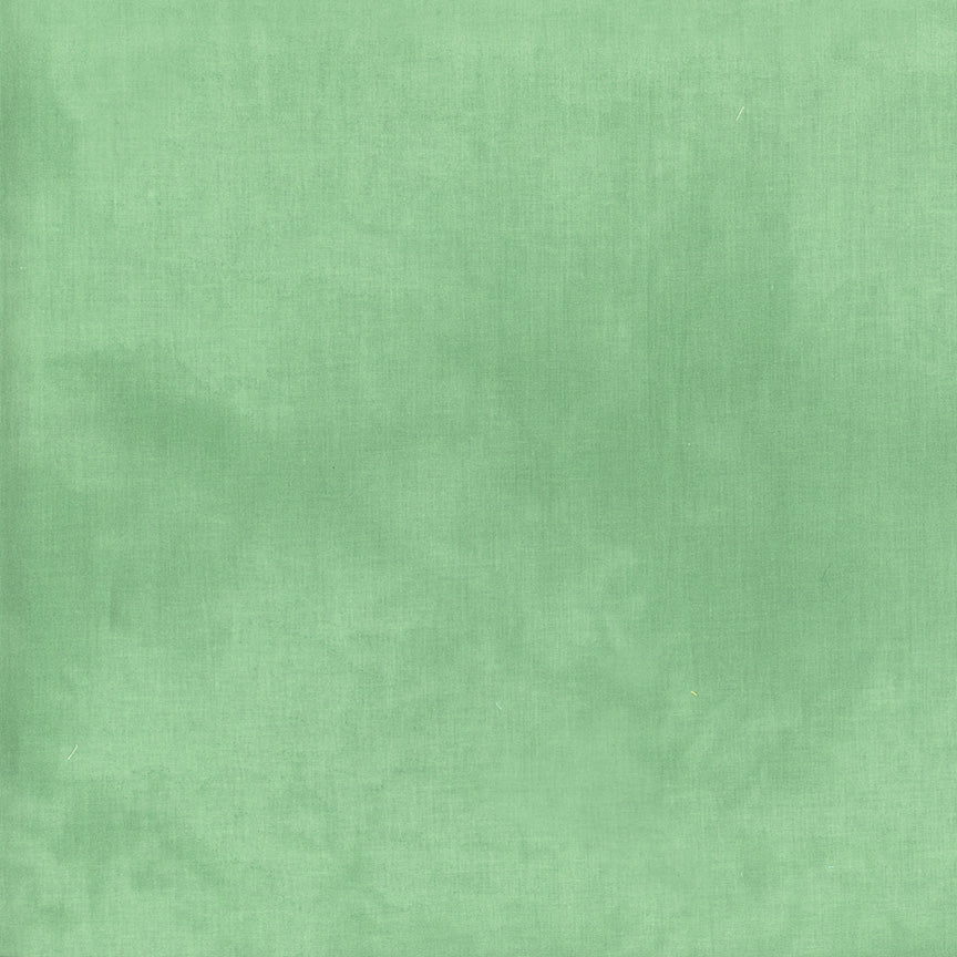 Palette - Ice Cap - by Marcia Derse with Windham Fabrics