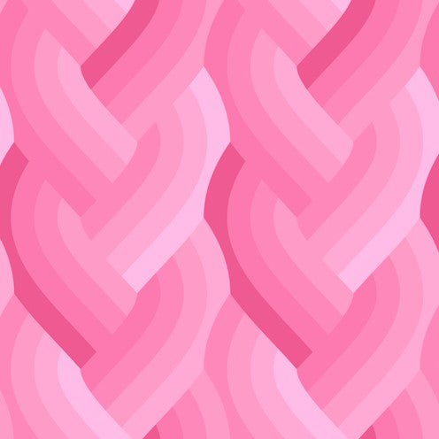 Echo - Braid in Pink - by Emily Van Hoff with Moda Fabrics