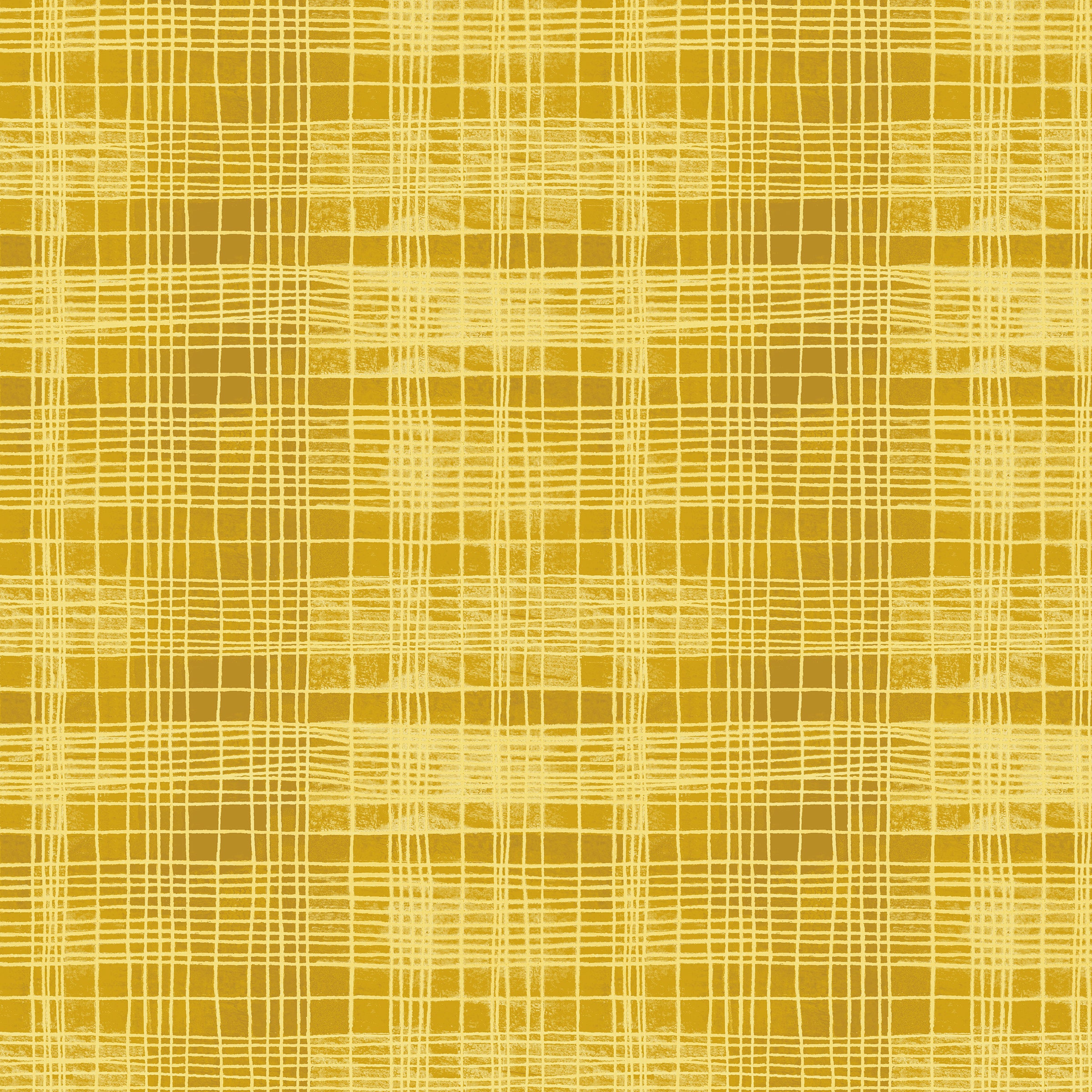 The Plaid One - String Theory Plaid in Delicata - by Marcia Derse with ...