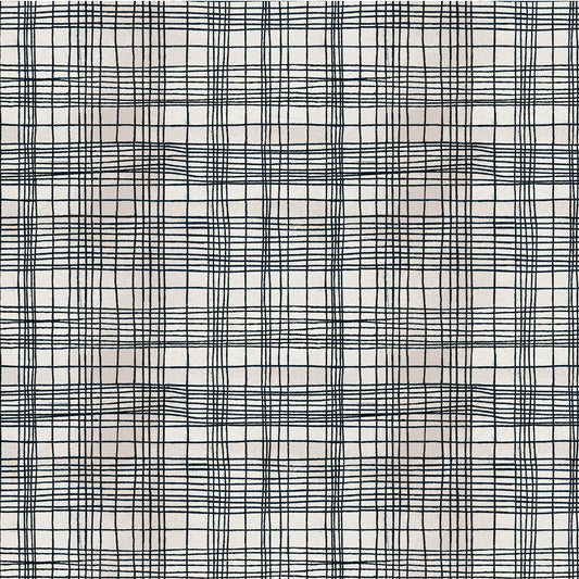 The Plaid One - String Theory Plaid in Cosmic Web - by Marcia Derse with Windham Fabrics