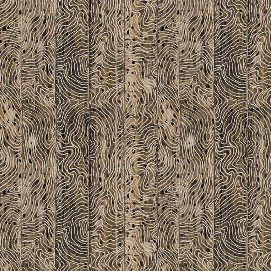 Origins - Path in Umber - by Shane Drinkwater with Windham Fabrics