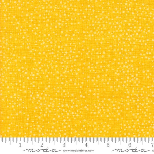 Dotty Thatched - Sunshine - by Robin Pickens with Moda Fabrics