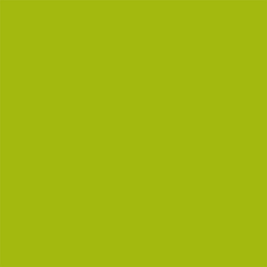 Colorworks Premium Solids - Matcha - by Northcott – Curated for Anna Maria Textiles