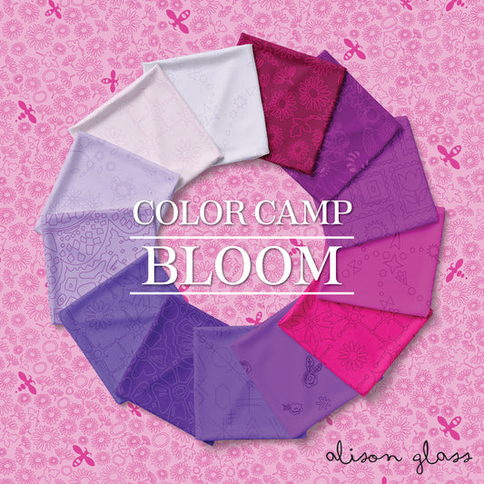 Color Camp - Bloom - Bundles - by Alison Glass with Andover Fabrics