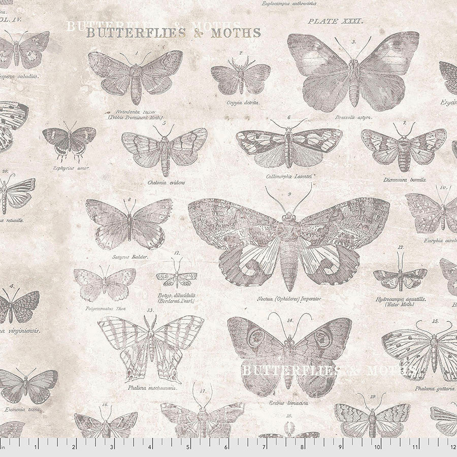 Monochrome - Butterflies - Parchment - from Tim Holtz with Free Spirit Fabrics