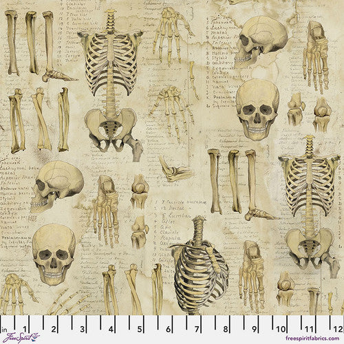 Laboratory - Anatomy - Neutral from Tim Holtz with Free Spirit Fabrics