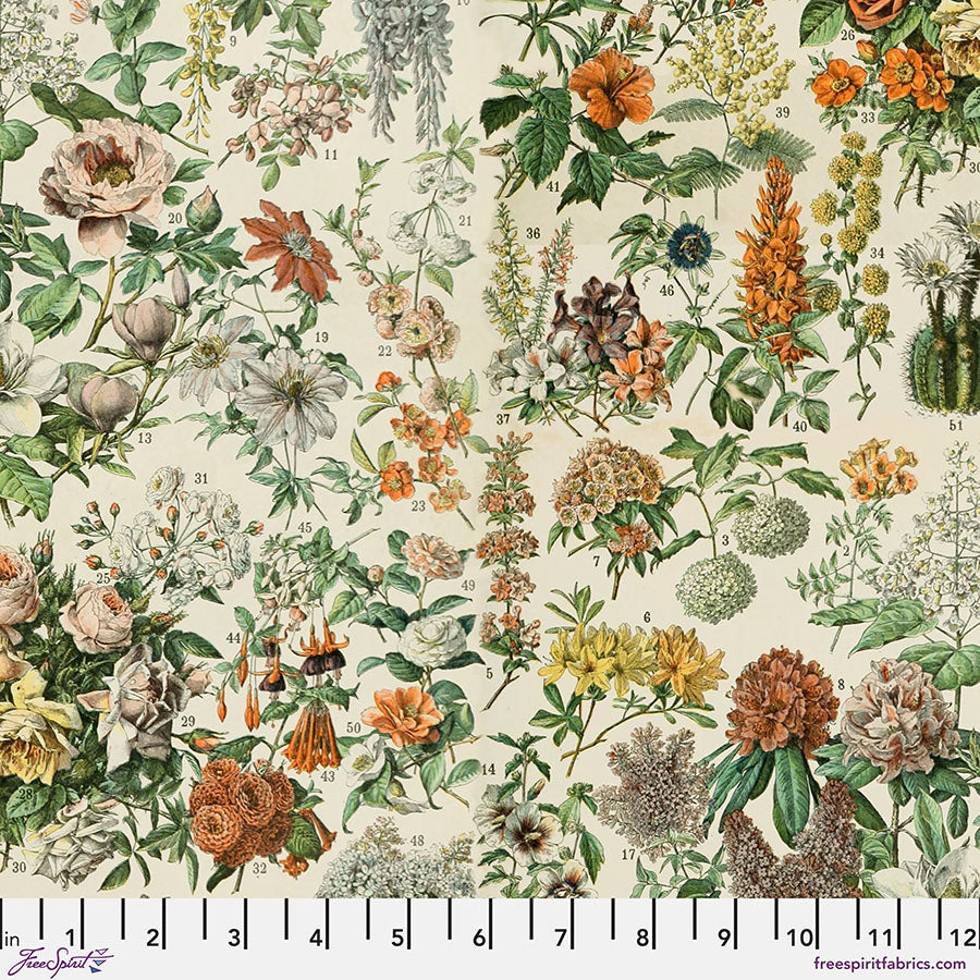 Eclectic Elements Palette Orange - Botanical (Half Yard Cut) by Tim Holtz with Free Spirit Fabrics