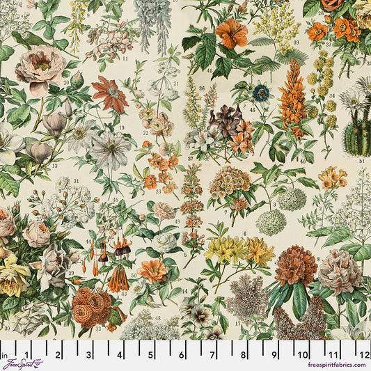 Eclectic Elements Palette Orange - Botanical (Half Yard Cut) by Tim Holtz with Free Spirit Fabrics