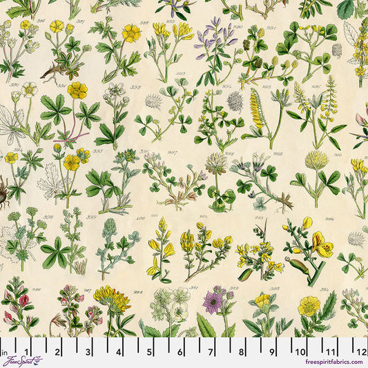 Eclectic Elements Palette Yellow - Botanical Half Yard Cut) by Tim Holtz with Free Spirit Fabrics