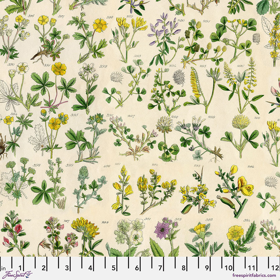 Eclectic Elements Palette Yellow - Botanical PREORDER SHIPS JANUARY 2025 (Half Yard Cut) by Tim Holtz with Free Spirit Fabrics