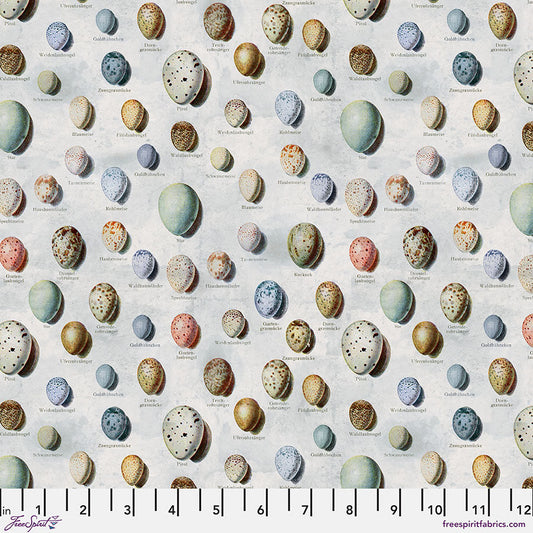 Eclectic Elements Palette Blue - Eggs (Half Yard Cut) - by Tim Holtz with FreeSpirit Fabrics