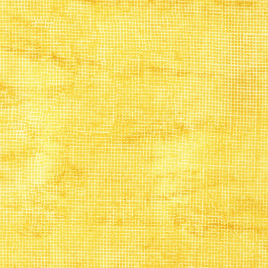 Chalk and Charcoal – Buttercup – by Jennifer Sampou with Robert Kaufman