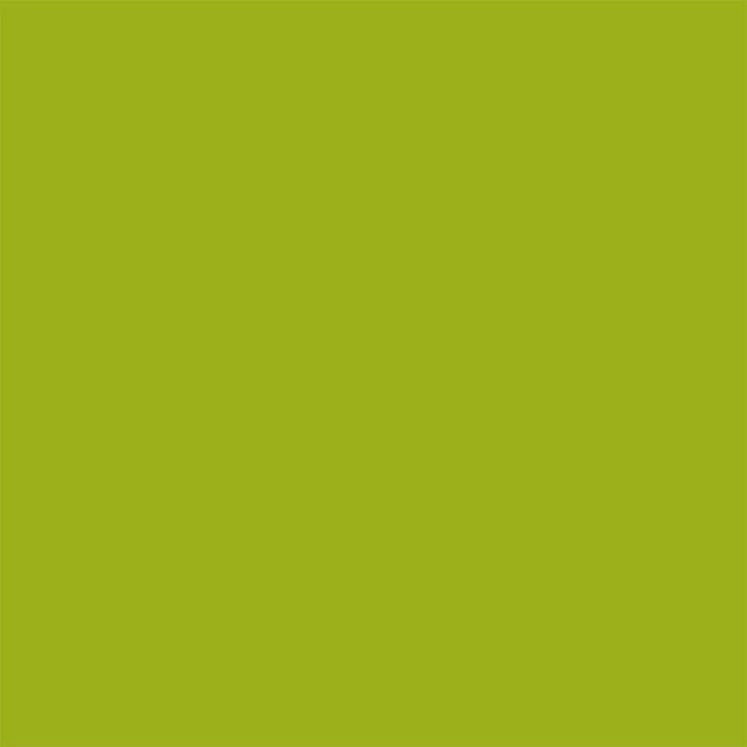 Colorworks Premium Solids - Matcha - by Northcott – Curated for Anna Maria Textiles