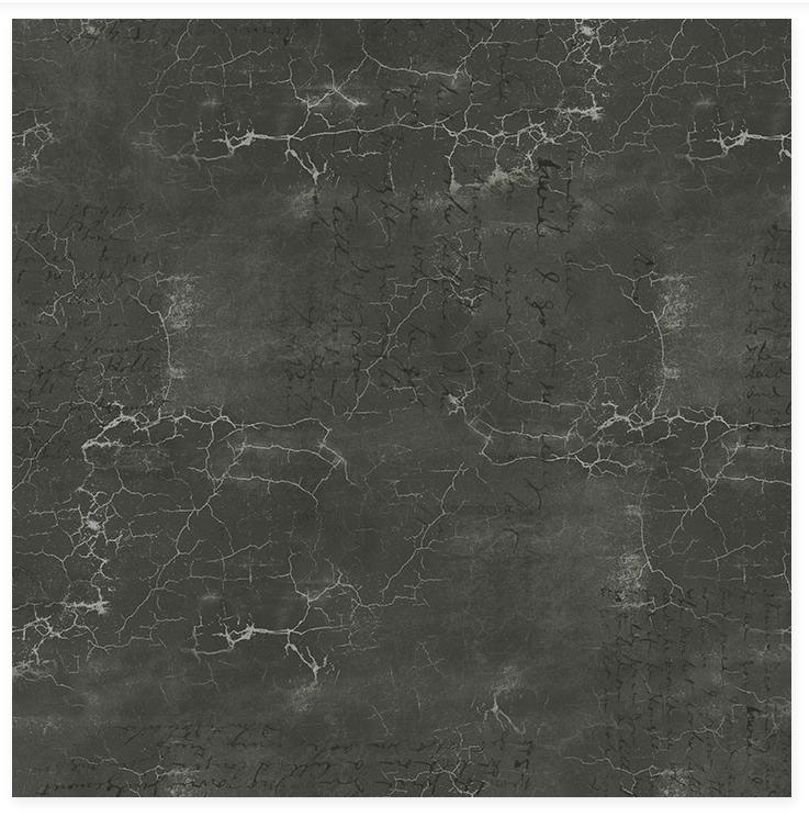 Cracked Shadow - Obsidian - from Tim Holtz with Free Spirit Fabrics