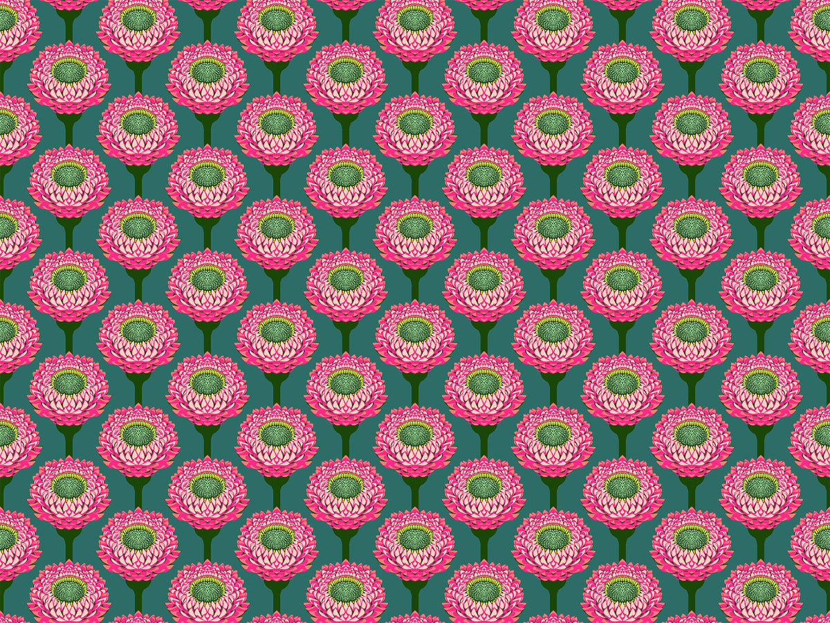 Iconic Fabric - Strawflower in Bursting - by Anna Maria Textiles