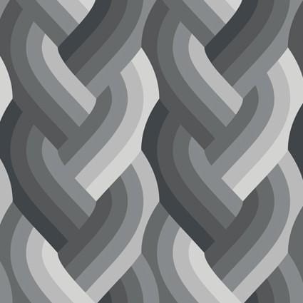 Echo - Braid in Black - by Emily Van Hoff with Moda Fabrics