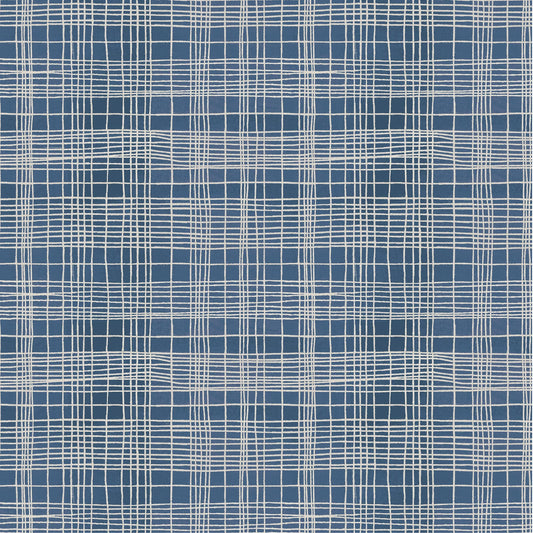 The Plaid One - String Theory Plaid in Clueprint - by Marcia Derse with Windham Fabrics