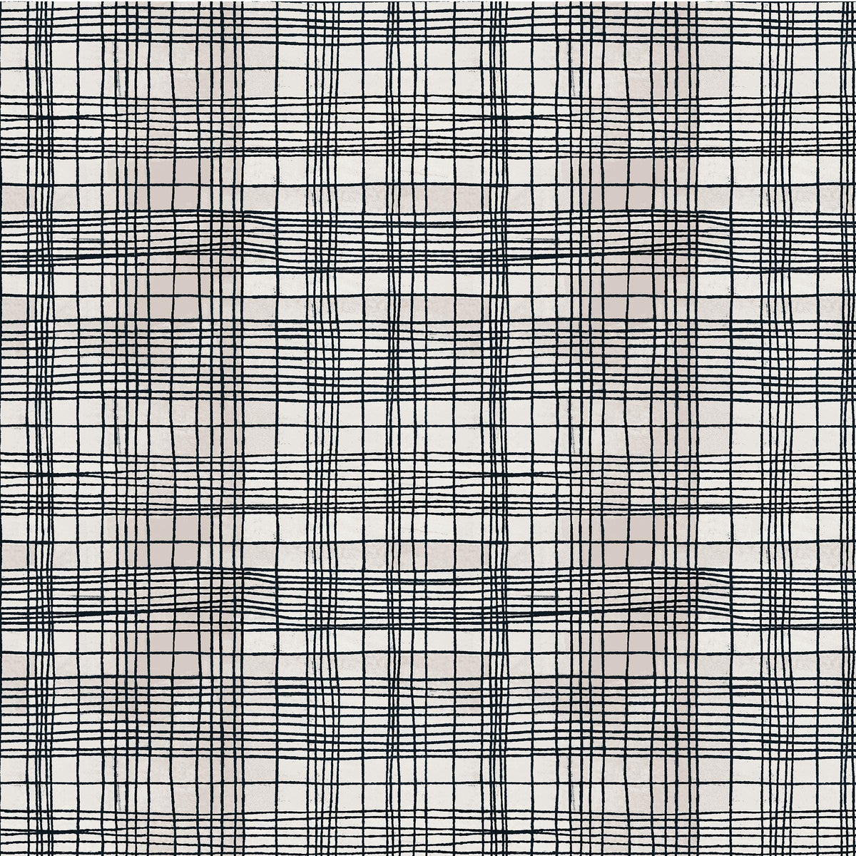 The Plaid One - String Theory Plaid in Cosmic Web - by Marcia Derse with Windham Fabrics