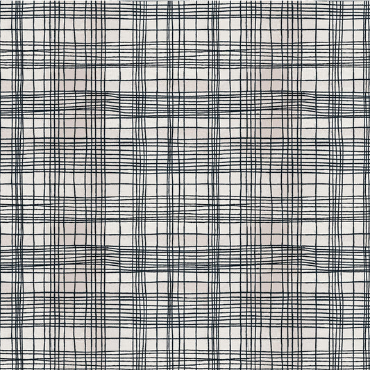 The Plaid One - String Theory Plaid in Cosmic Web - by Marcia Derse with Windham Fabrics