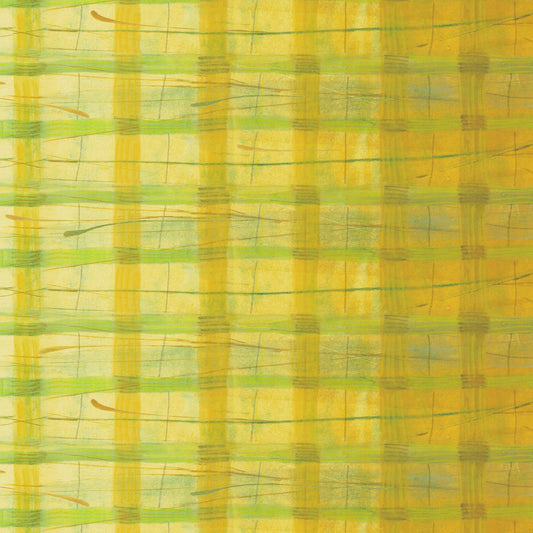 The Plaid One - Yuzu Plaid - by Marcia Derse with Windham Fabrics