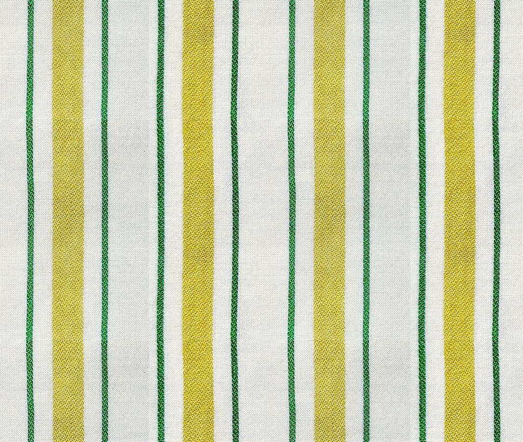 Warp & Weft Mystic Fable - Festival Stripe in Golden - by Alexia Marcelle Abegg with Ruby Star Society