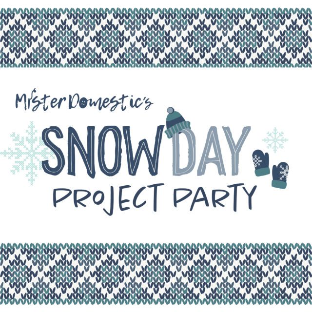 Mx Domestic’s Snow Day Project Party