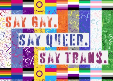 Say Gay. Say Queer. Say Trans. Pride Fabric Collection